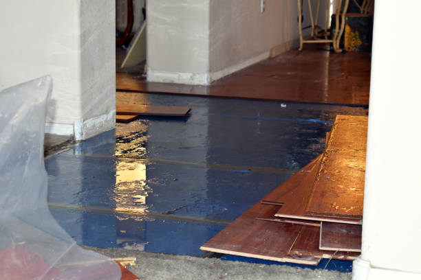 Professional Water Extraction technician working in Hadley, MI
